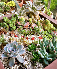 ����Ʊ���ͬ�µ�������̨   ��������~~