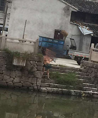 ���¶��ŵܵ���