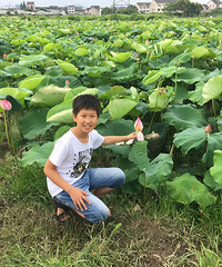 ��Ҫ��������