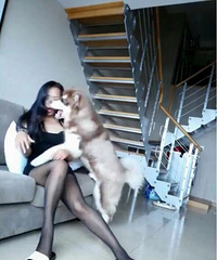 �⹷ͨ����