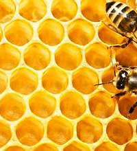 ��������̨�����ﻹ�����۷�ģ���ȥʵ������ۡ�