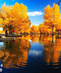 10.9 - 10.14 ���������--������������������Խ