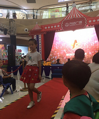 ����������һ���������