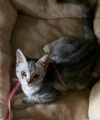 �Ҿ�����ɹ����