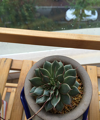 �ҵĶ�����