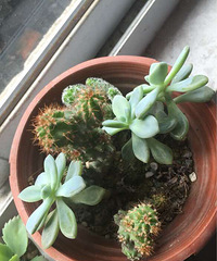 ���ҵĶ��⡿