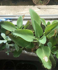 ���ҵĶ��⡿