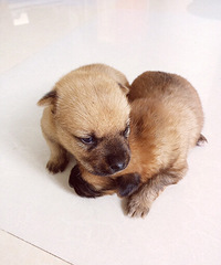 ����Ҳ�ǿ��Ժܿɰ���