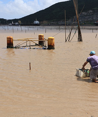 �����Ժ�