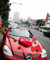 ��鵱��Ļ鳵����  �����н�����