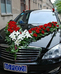 ��鵱��Ļ鳵����  �����н�����