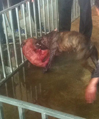 �������ص���һ������