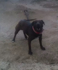 �������ص���һ������