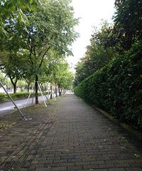 微缩公园行,空气清新,心旷神怡