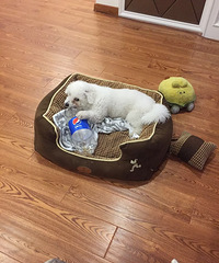 �������ˡ�����ҡ��