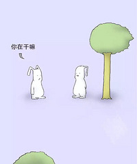 93���������� 160cm �������� ���ܶ���