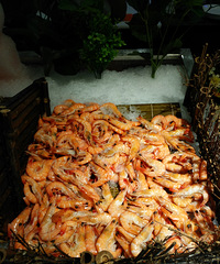 ��ҹ���������е���ʲô��