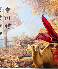 10.9 - 10.14深秋的馈赠--额济纳旗胡杨林沙漠醉美穿越