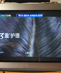 42��������Ӱײ˼�300����