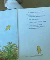 ���汾��5�ڡ�С����ͷ��