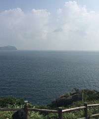 我们在济州岛,这里有美景、美食、美人!
