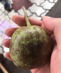 �²���ʲô..