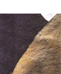 ���汾�����ڡ�������ζ��