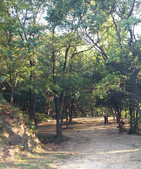 石浜山晨光,登山顶一览路桥城全貌