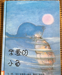 ���汾��5�ڡ����װ���С�㡷