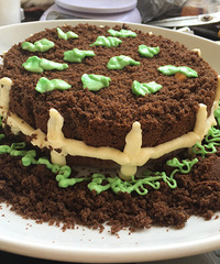 ���ܲ�����  �ڸ�ƫ��  �����ָ��