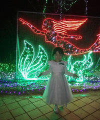 �ƹ��㿴�������