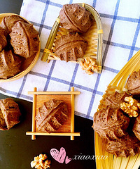 ���������  ���ǿ�������