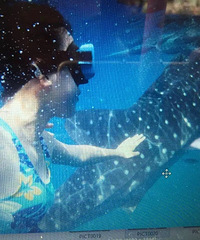 87�걾�ƹ���MM 166cm ���ʻ����е�С��ǿ