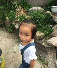 ����������Ҫ������