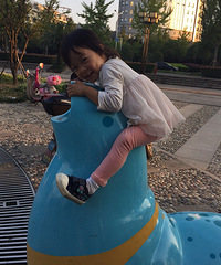 ������������ҪƱ