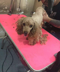 ������mony��������������̩��԰��ʧ��