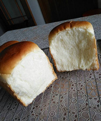 ������İ���˾  ��Ƥ�ִ�  ��������