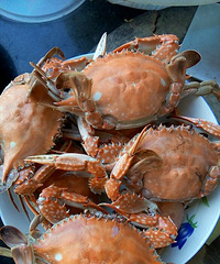 ���Ҹ�ͷС  �������Ǹ�  ������