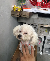 ��Ȯ����¶����