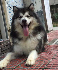 嗮嗮我家儿子