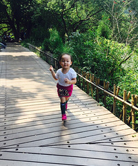 ������������ҪƱƱŶ