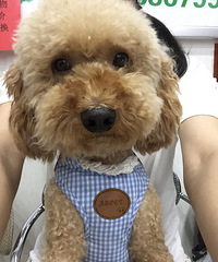 9��30�� 16��55�������ڽ���·24