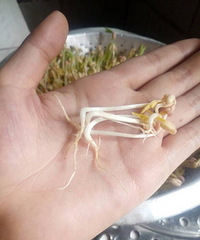 ���Լ��þ�ˮ�ݷ��Ķ�ѿ��  ����