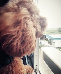 ��Ȯ����+�������