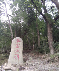 反季节而行 收货意外的美好