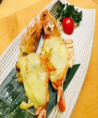 ��������֮�������� �����Ǽ��Ƶ�ҫ��������������