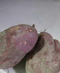 9���صĴ����