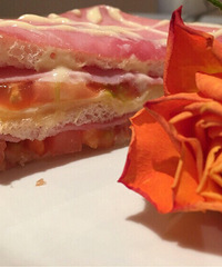 ������ָ����Ҫ����  ��������