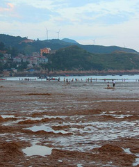 �������� �������ճ�