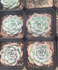 �µ��Ķ��⣬�п�����